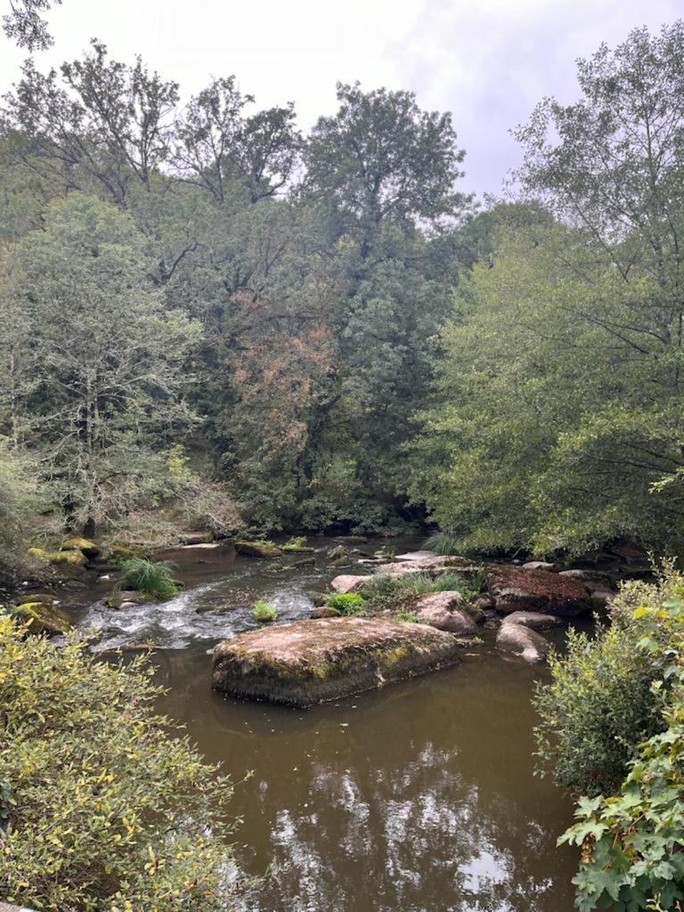 Gite Les Pieds Dans L'Eau 10 Min Du Puy Du Fo Treize-Vents Exterior photo